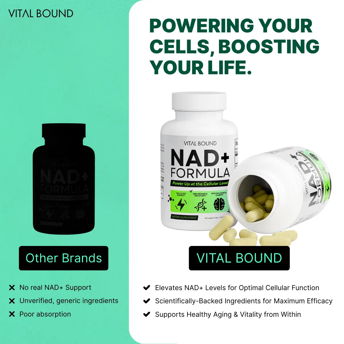 NAD+ Supplement – 500mg Nicotinamide Riboside + Resveratrol + Quercetin