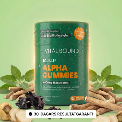 Vital Bound™ Shilajit Alpha Gummies – 10-i-1 stöd