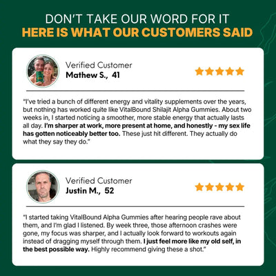 Vital Bound™ Shilajit Alpha Gummies - 10 in 1 Support