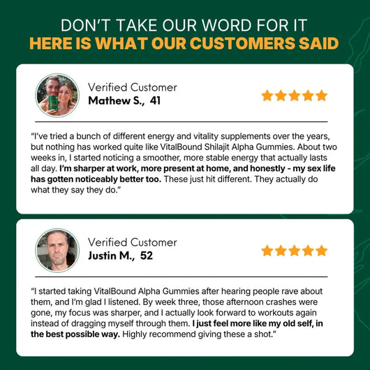 Vital Bound™ Shilajit Alpha Gummies - 10 in 1 Support