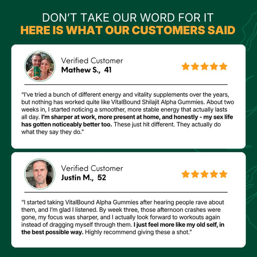 Vital Bound™ Shilajit Alhpa Gummies - 10 in 1 Support