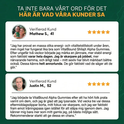 Vital Bound™ Shilajit Alpha Gummies – 10-i-1 stöd