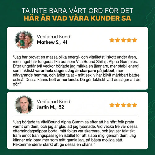 Vital Bound™ Shilajit Alpha Gummies – 10-i-1 stöd