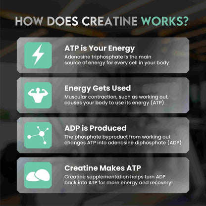 Creatine Monohydrate Gummies