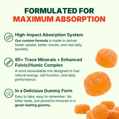 Vital Bound™ Shilajit Alpha Gummies - 10 in 1 Support