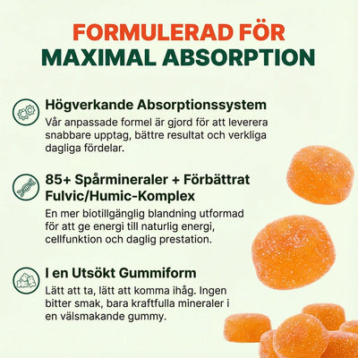 Vital Bound™ Shilajit Alpha Gummies – 10-i-1 stöd