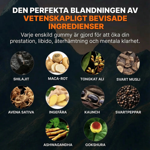 Vital Bound™ Shilajit Alpha Gummies – 10-i-1 stöd