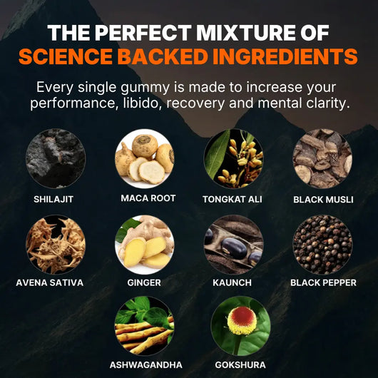 Vital Bound™ Shilajit Alhpa Gummies - 10 in 1 Support