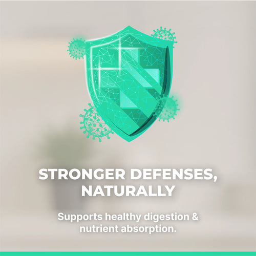 Probiotic 40 Billion CFU with Prebiotics – Digestive & Immune Support