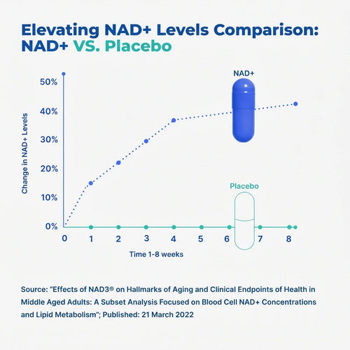 Added to Your Order: 2 NAD+ Bottles at 50% OFF – $99